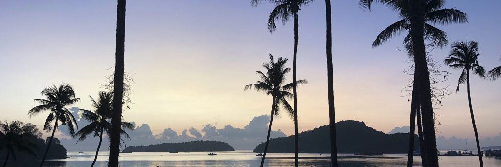 Travel to Thailand, Part IV: That Time I Got&nbsp;COVID