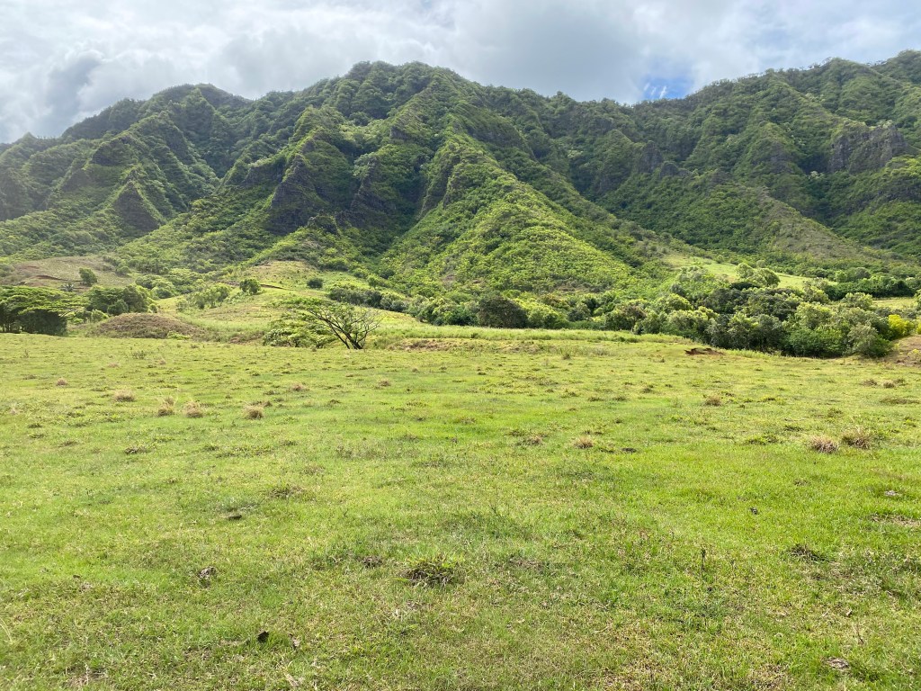 Planning a Trip to&nbsp;O’ahu
