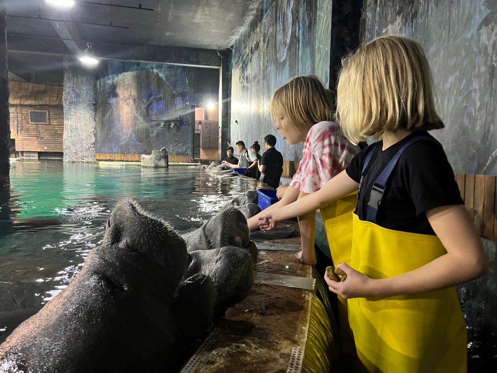 Christmas in Singapore