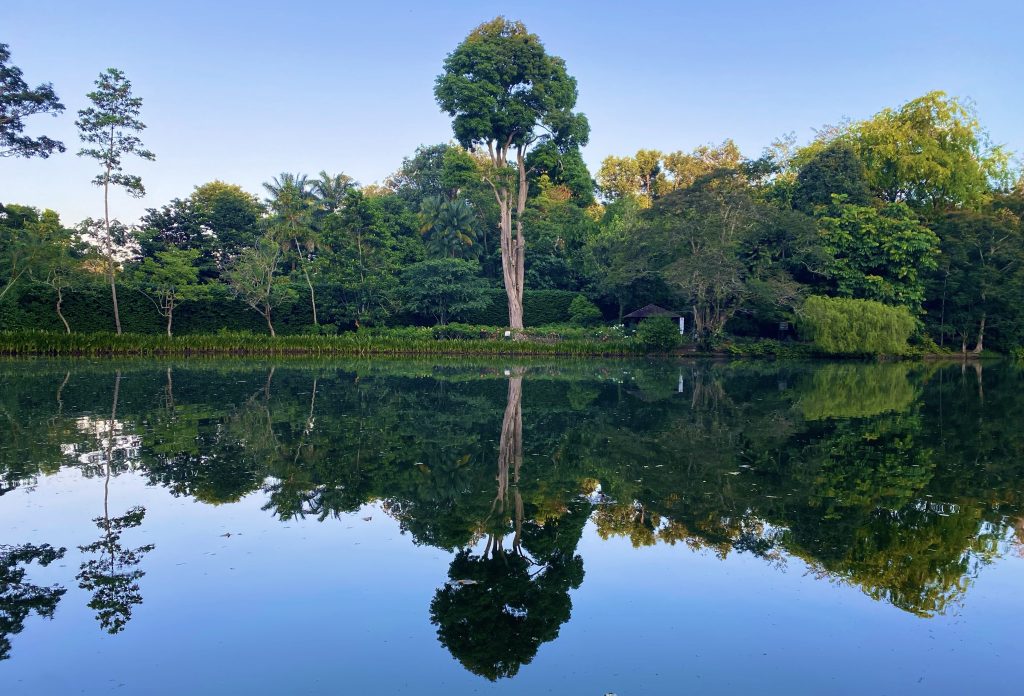 Can We Talk About the&nbsp;Snakes?