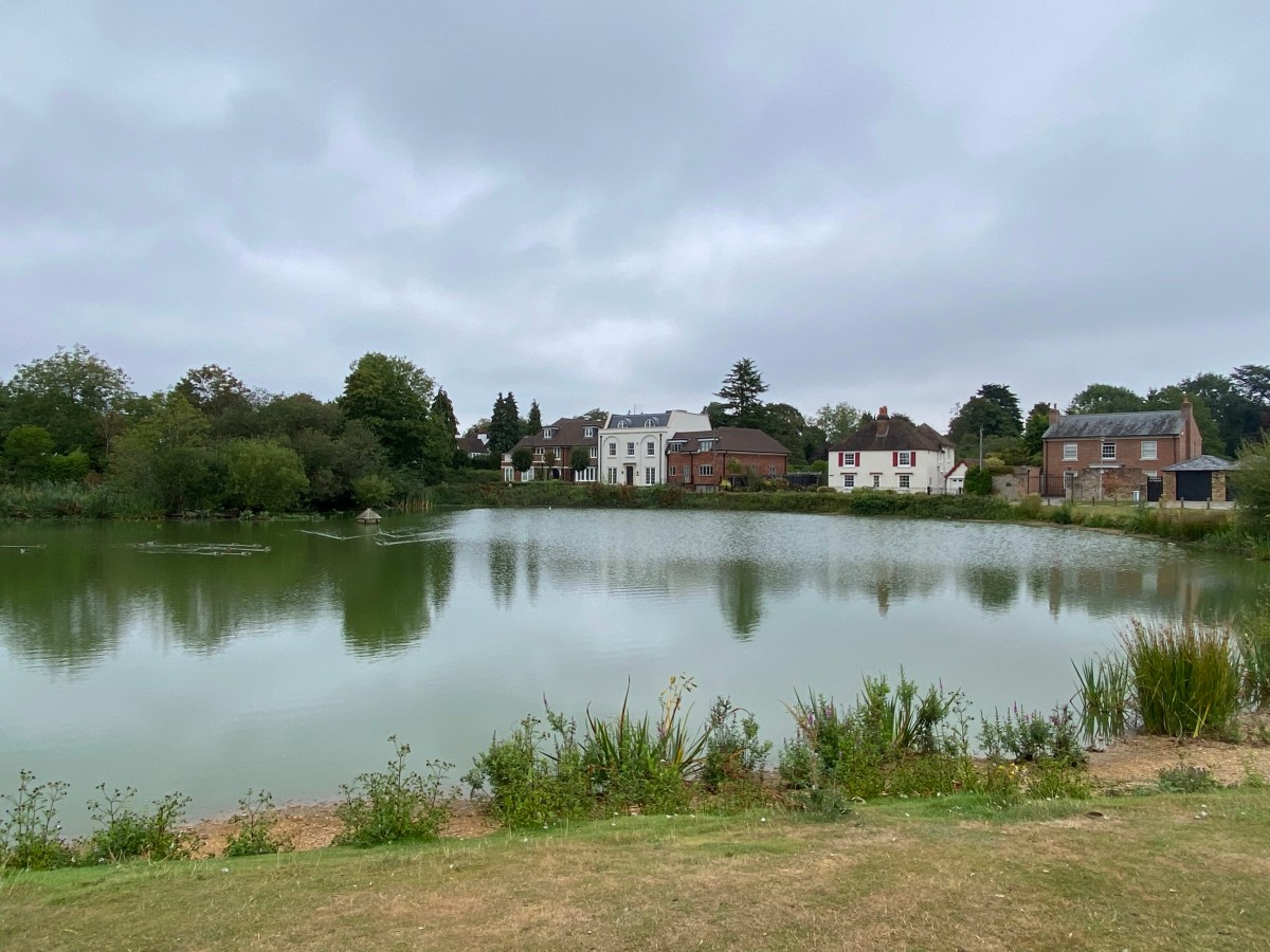 How to Reduce, Reuse, and Recycle in&nbsp;London